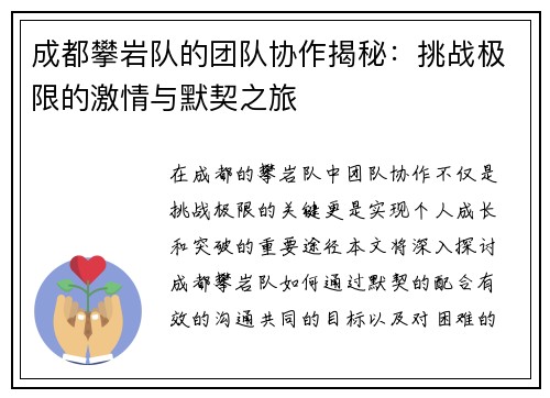 成都攀岩队的团队协作揭秘：挑战极限的激情与默契之旅
